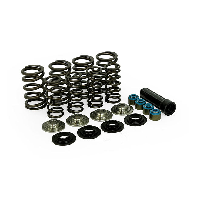 Manley, valve spring kit. Titanium. Std to .650" lift