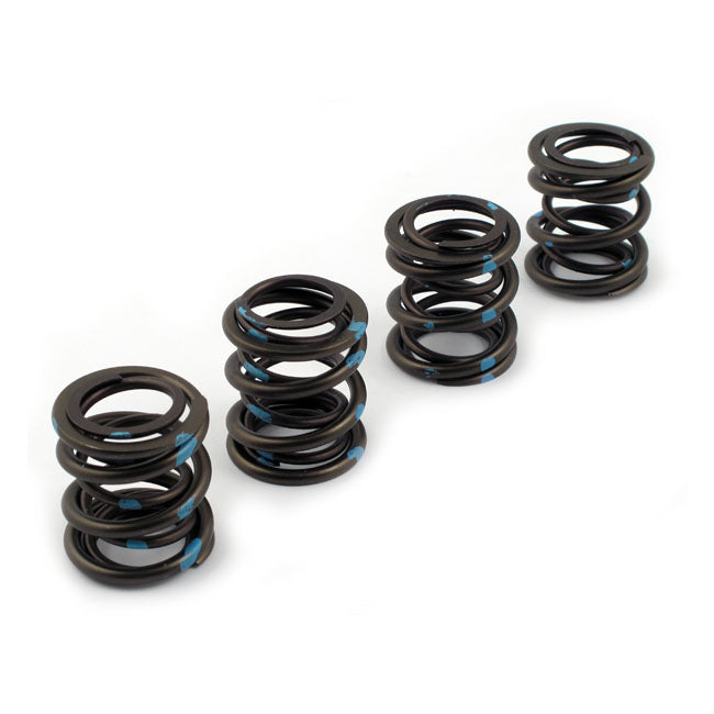 Andrews, valve spring set. .600" high lift