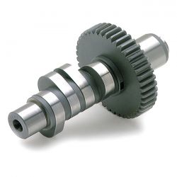 Andrews, J grind / .405" lift camshaft