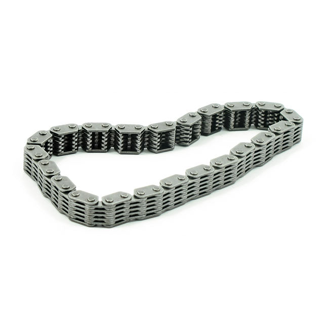 Outer cam chain, 99-06 Twin Cam