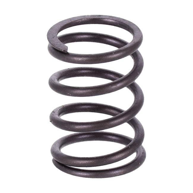 S&S, inner valve spring .550" lift