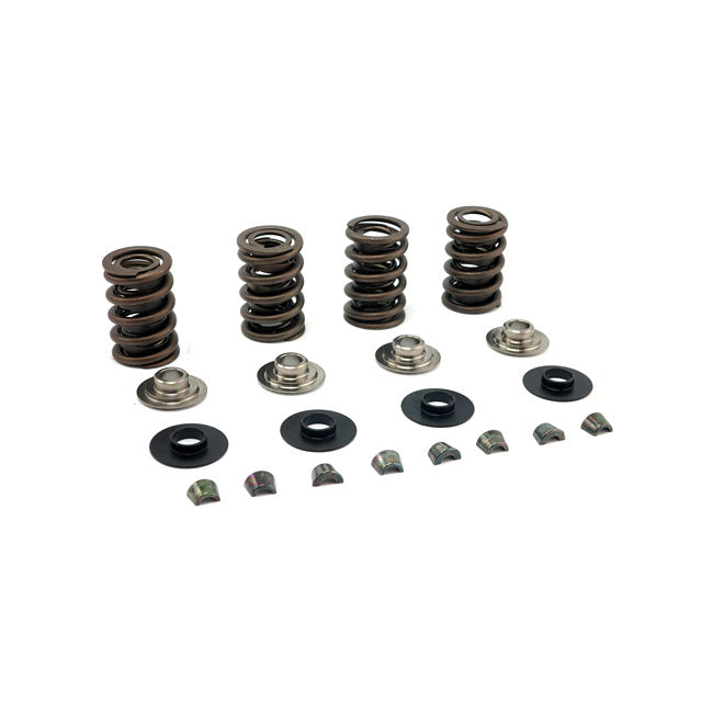 JIMS, valve spring kit. Titanium .600" lift