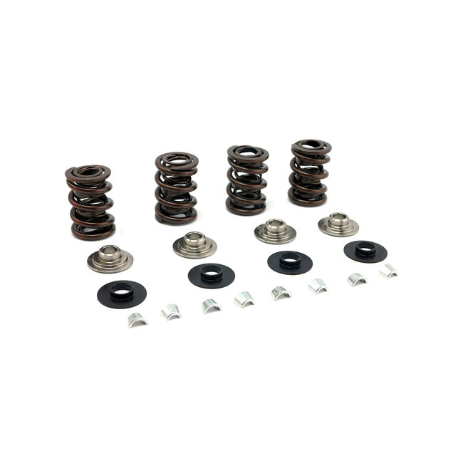 JIMS, valve spring kit, race. Titanium .700" lift