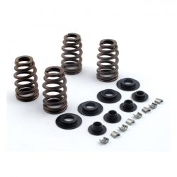 JIMS, valve spring kit. Titanium .600" lift