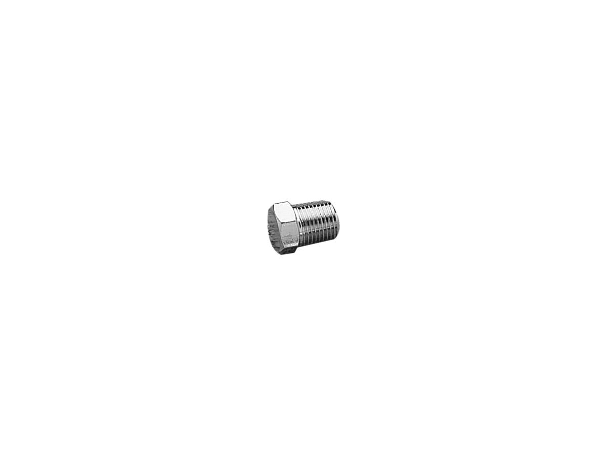 1/8" NPT Remleidingfitting Chroom