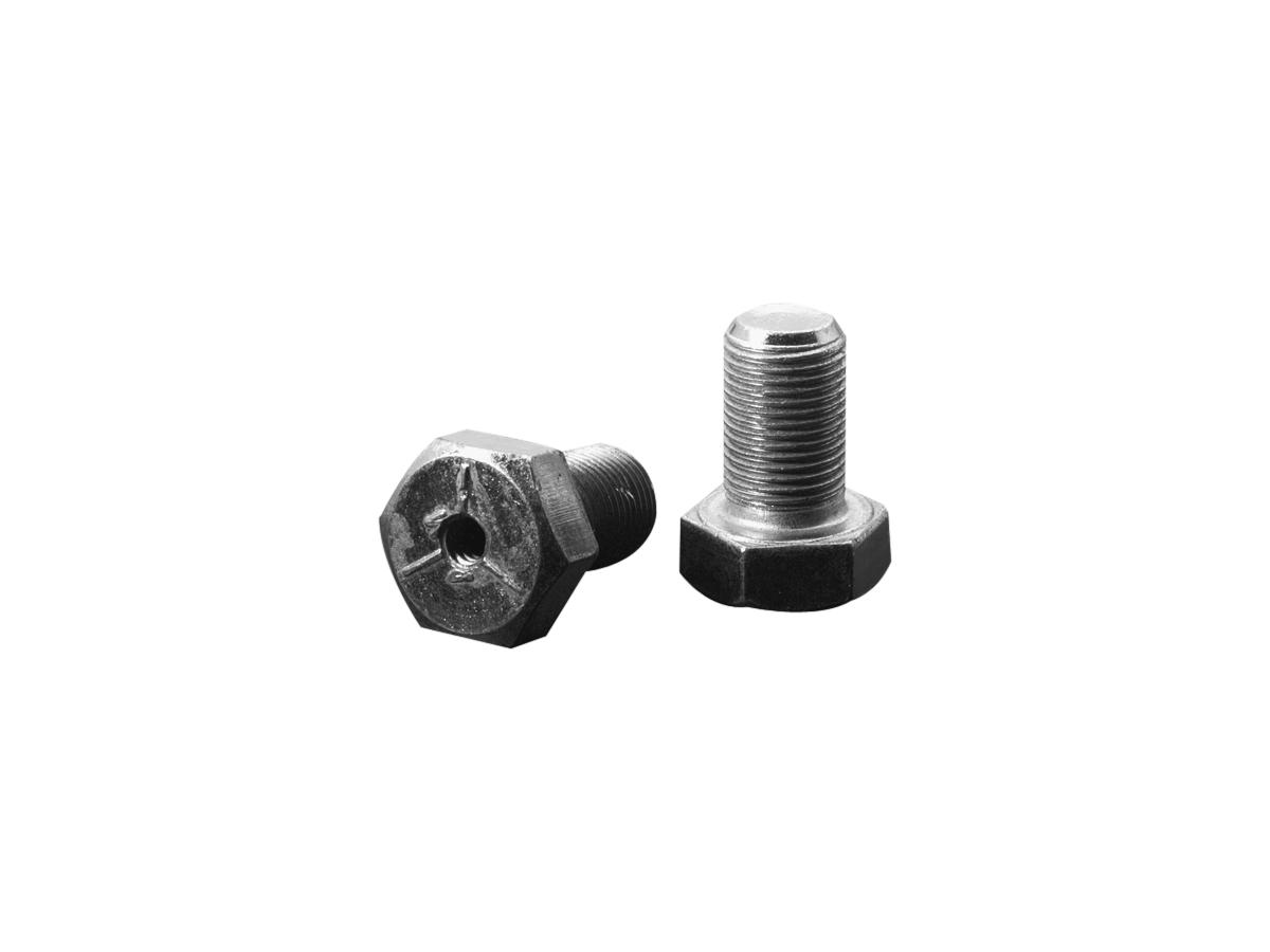 Steering Stem Bolt