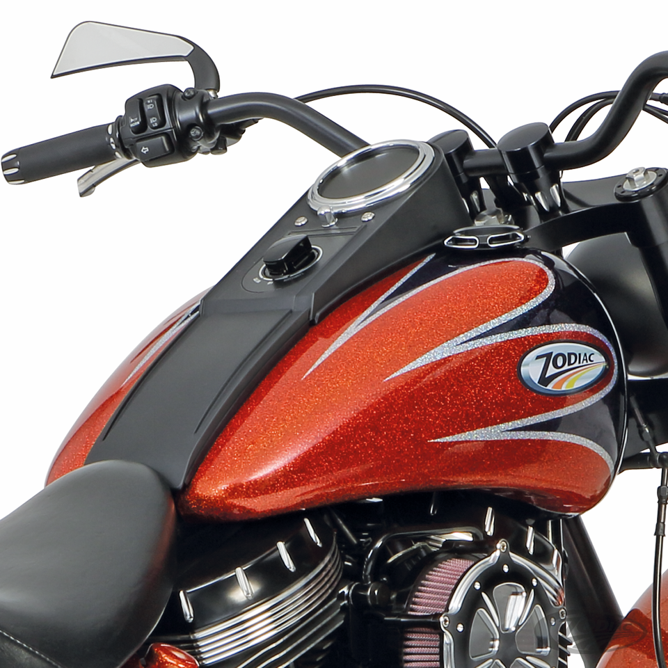 AANGEPASTE STIJLTANKS MET DASH-BEVESTIGING VOOR TWIN CAM SOFTAIL