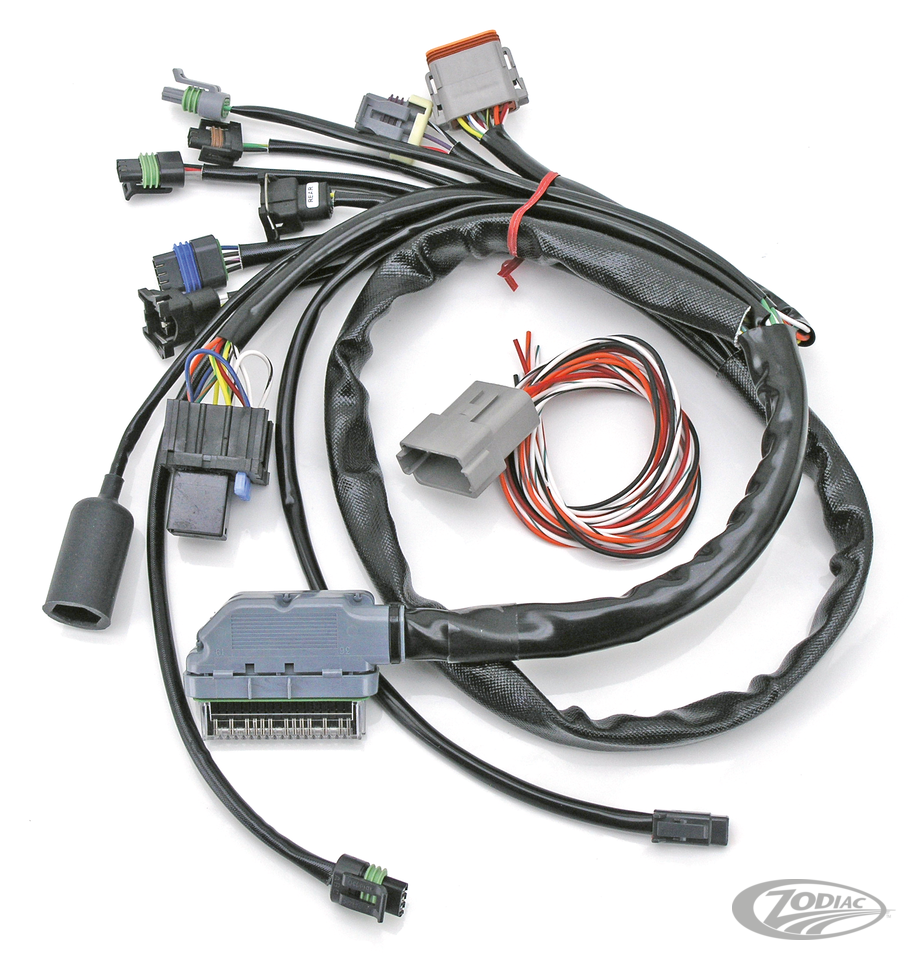 S&amp;S AANGEPASTE DELPHI-STIJL EFI-KABELBOOM