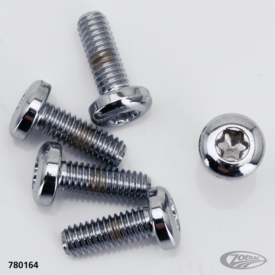 BRAKE ROTOR SCREWS & NUTS FOR TRIKE