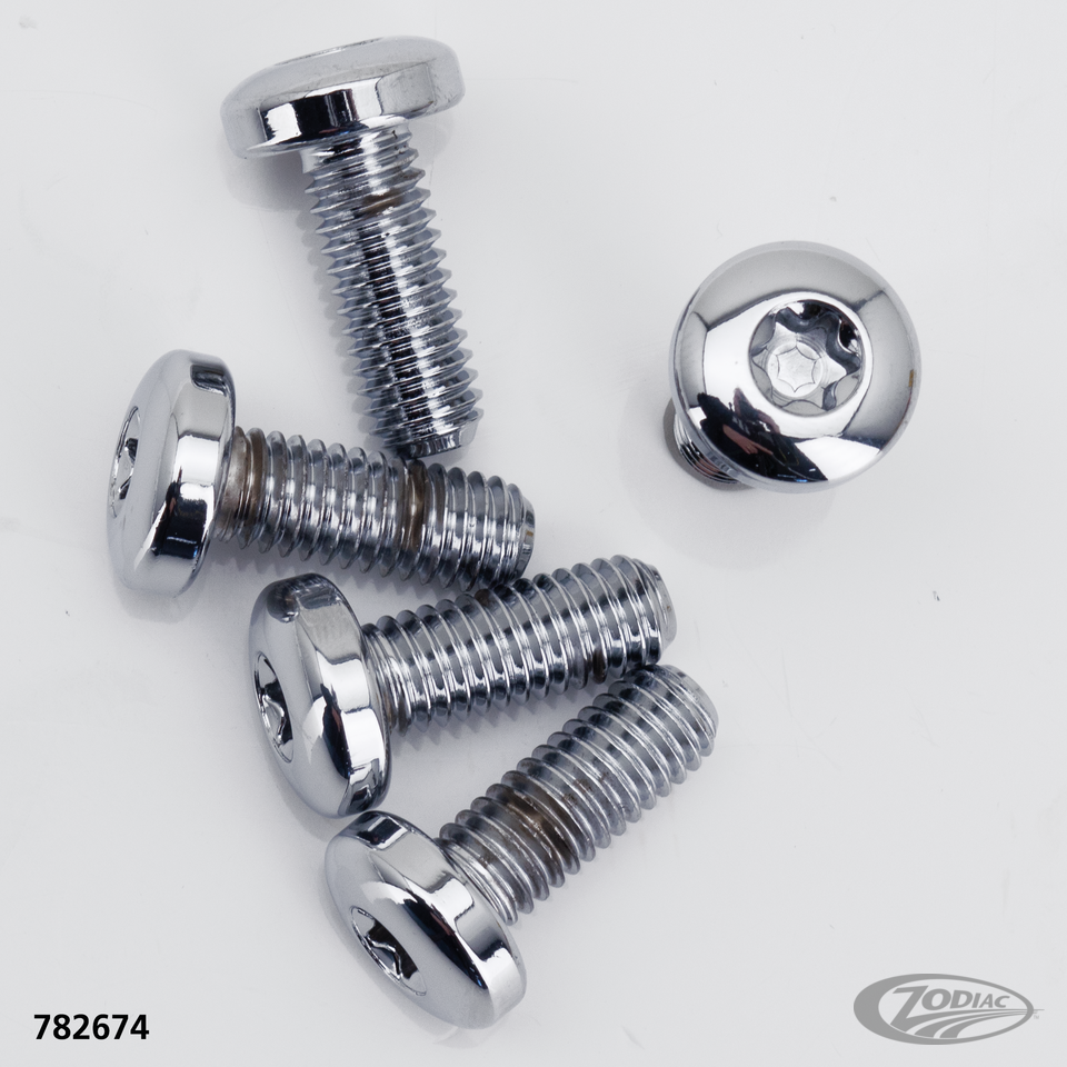 BRAKE ROTOR SCREWS & NUTS FOR TOURING