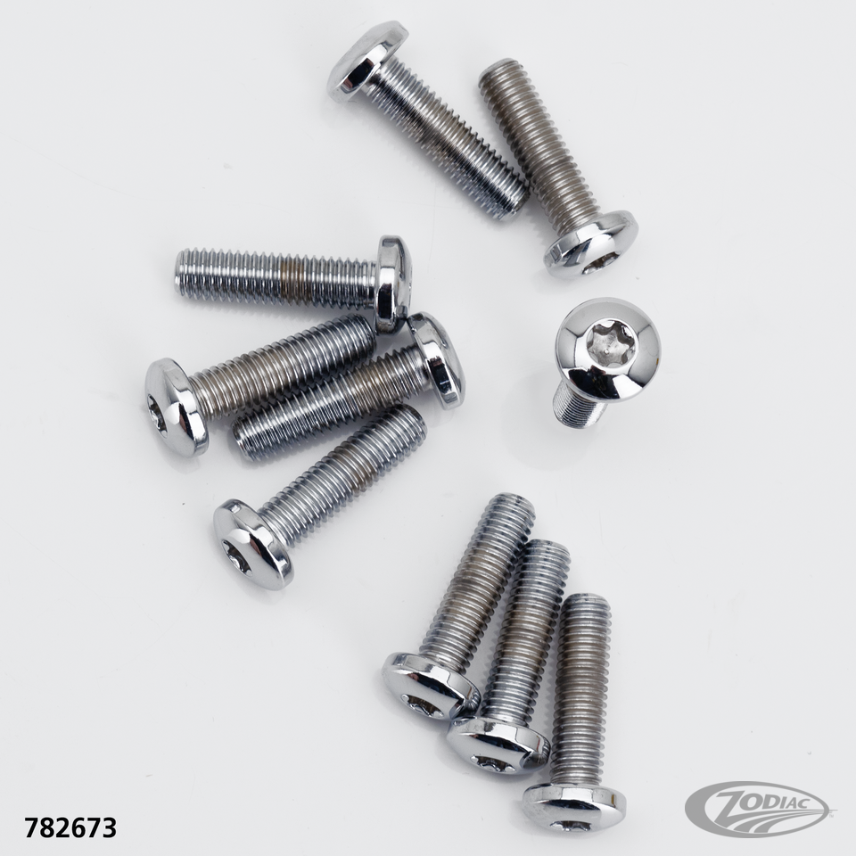 BRAKE ROTOR SCREWS & NUTS FOR TRIKE